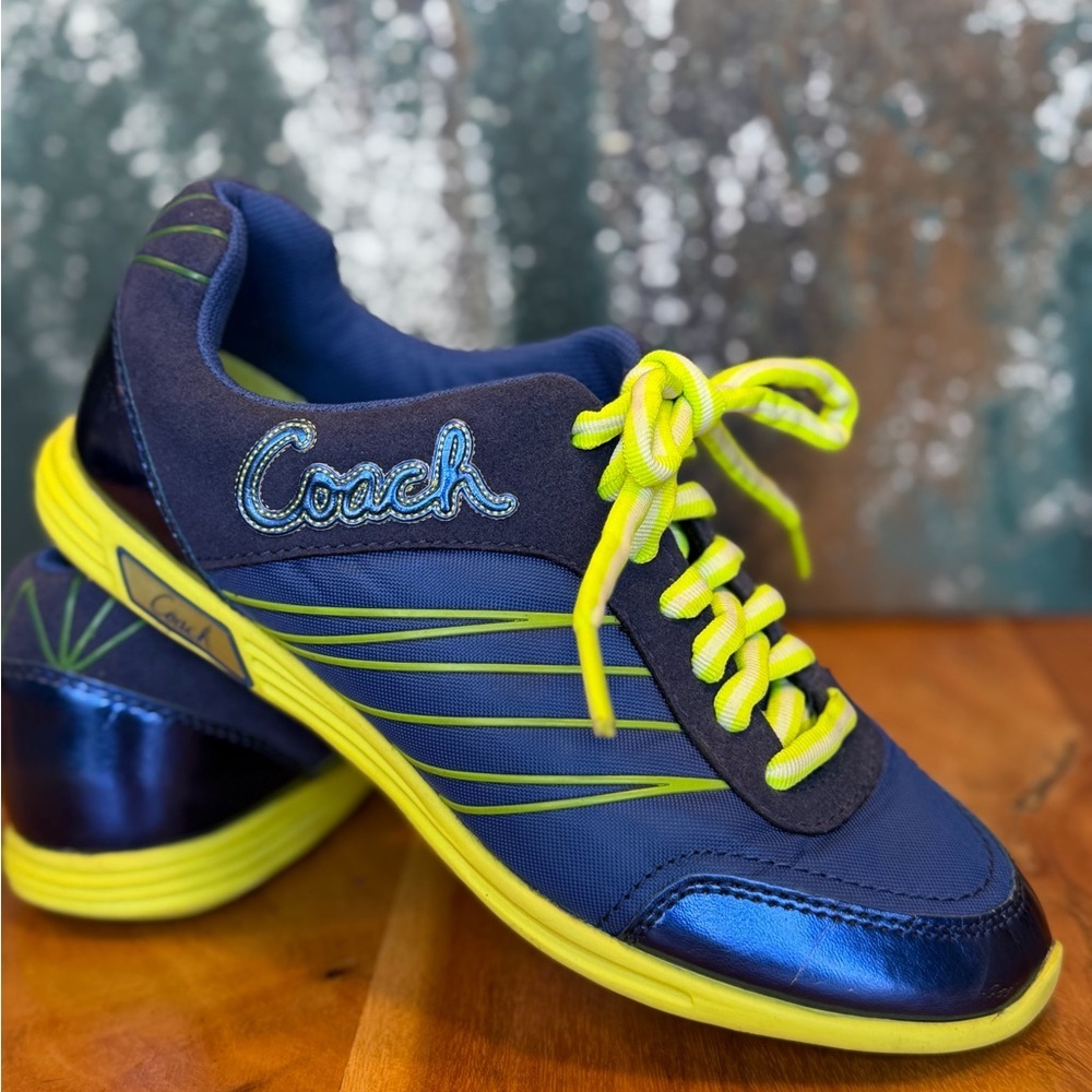 Coach Y2K Vintage Blue Metallic and Nylon Darla Sneaker